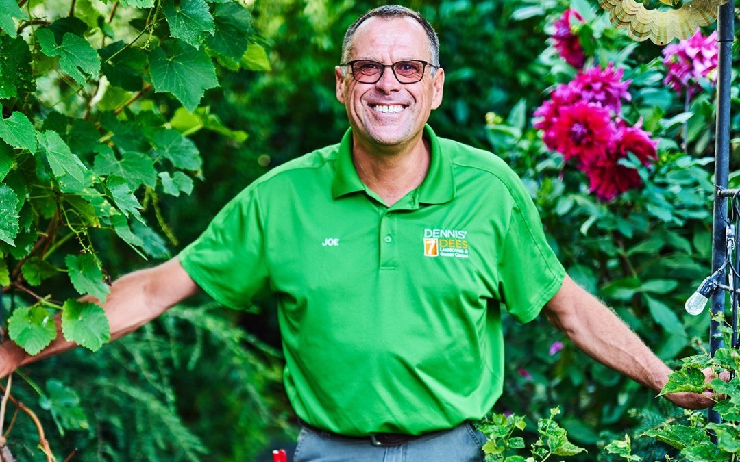 Joe Kerzel from Dennis' 7 Dees Lake Oswego Garden Center