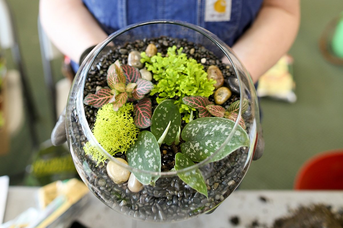beautiful handmade terrarium