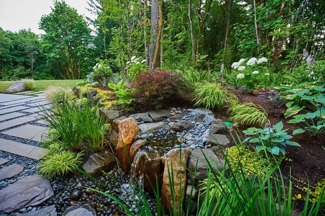 shade-plants-landscaping Landscape Plants for Shade