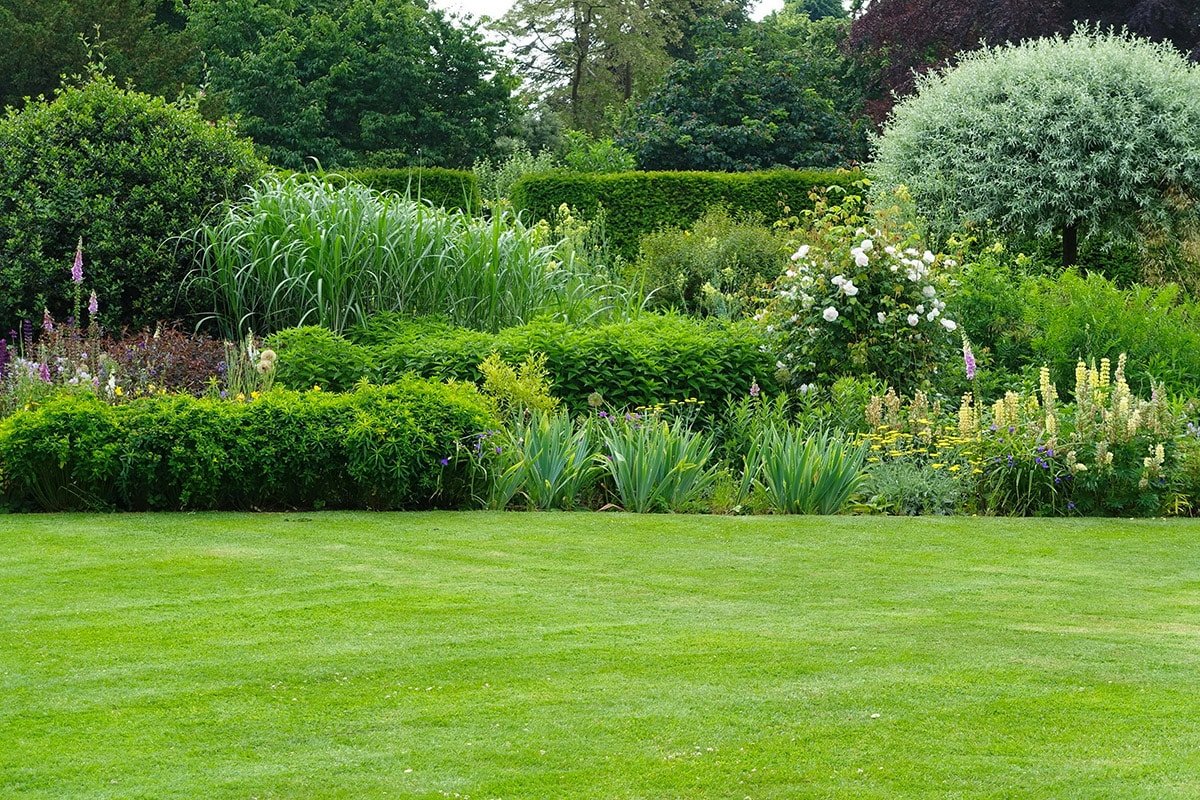 Hedgerows Gardening