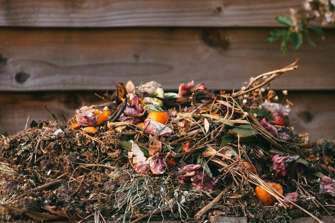 Compost pile A pile of food and yard compost