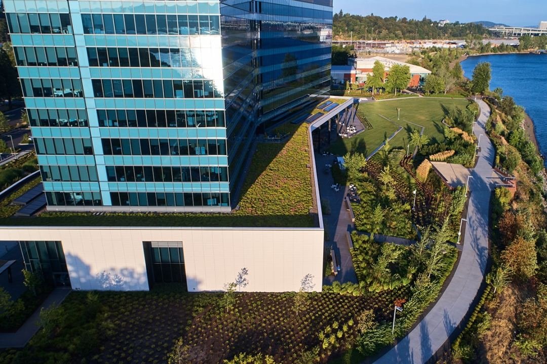 Diamler Landscape and green roof drone image of diamler landscape design and green roof we completed