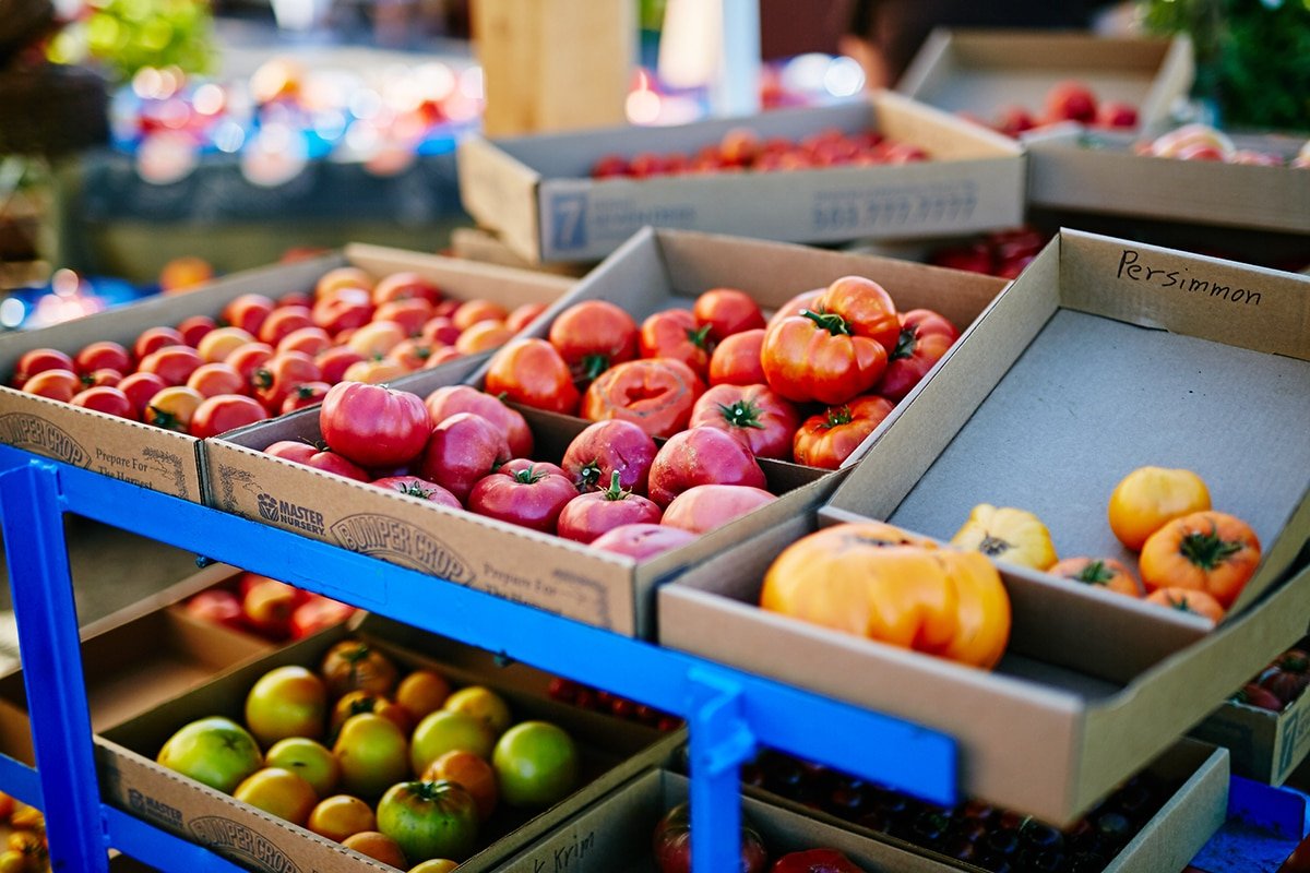 Tomato Tasting Showcase
