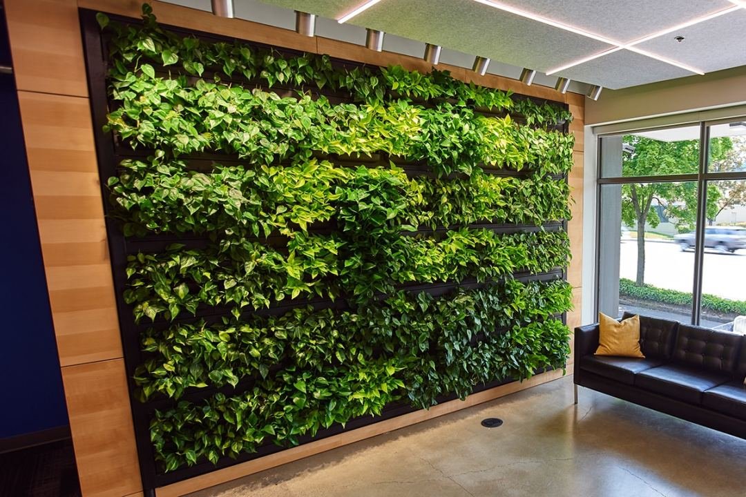 Biophilic wall