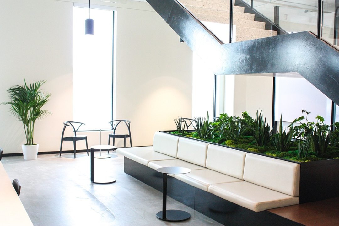 Plants in the workplace: potted plants, moss walls and planters, designed by Urban Plantscapes of Dennis' 7 Dees Planter under the stairs of an urban office environment - designed by Urban Plantscapes of Dennis' 7 Dees