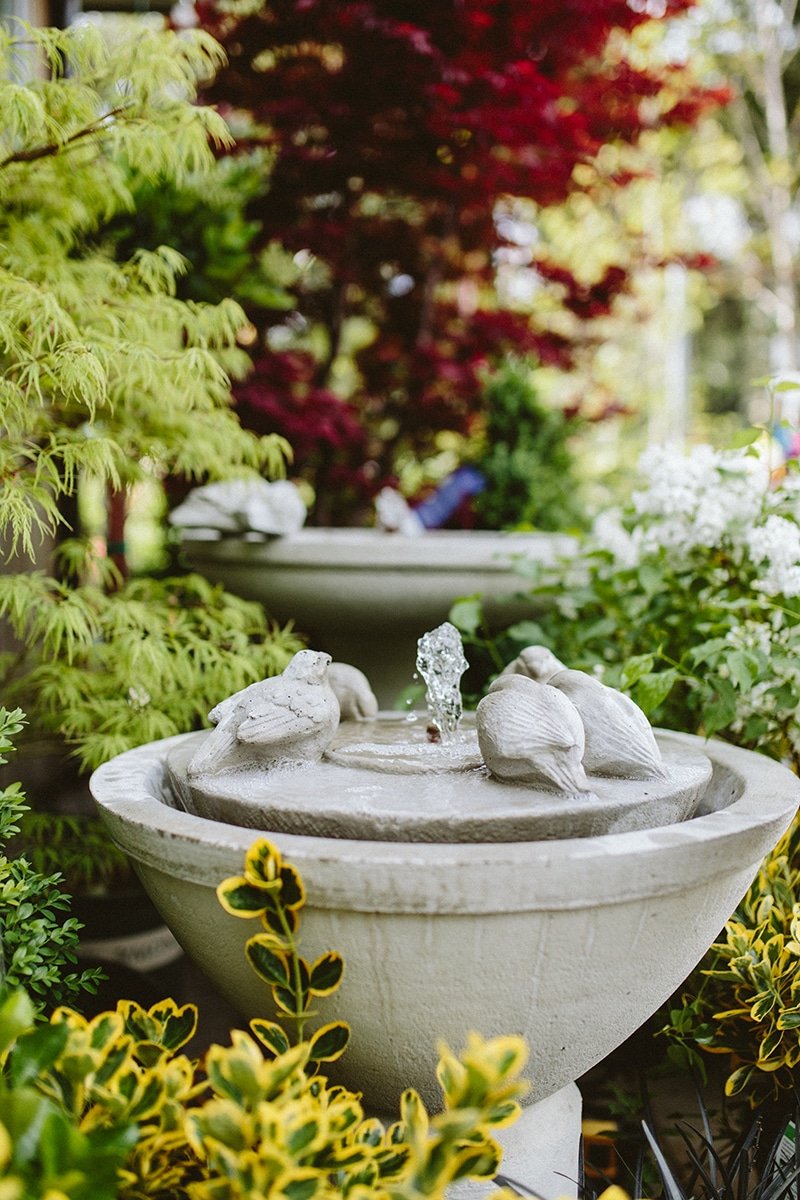 Fountains and Bird Baths at Dennis' 7 Dees Lake Oswego Garden Center Fountains and Bird Baths at Dennis' 7 Dees Lake Oswego Garden Center