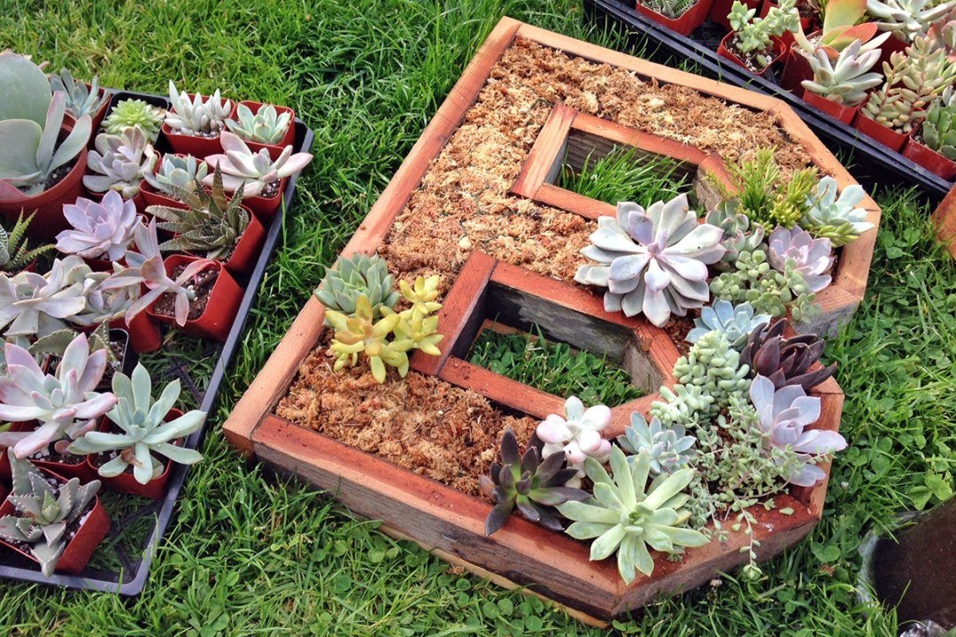 succulent-letter-wall-hanging succulent letter B wall hanging