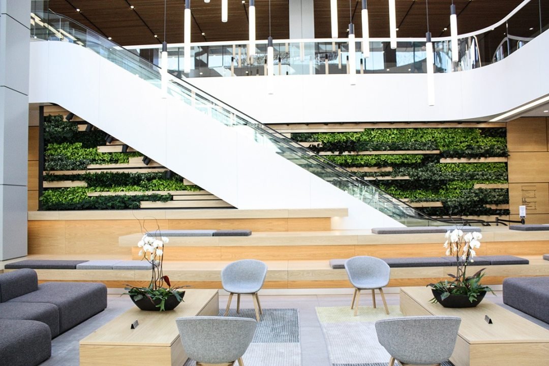 Living wall in office foyer - interior plant care services - Dennis' 7 Dees Urban Plantscapes A green living wall decorating an office foyer with wooden panels - created by Urban Plantscapes of Dennis' 7 Dees