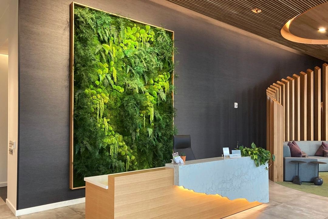 Beautiful large moss wall in office or hotel foyer for natural interior design - Urban Plantscapes of Dennis' 7 Dees Vibrant drooping green moss wall in large square of an office or hotel foyer created by Urban Plantscapes of Dennis' 7 Dees