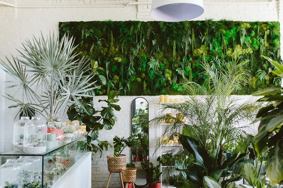 Designing With Plants in the Workplace