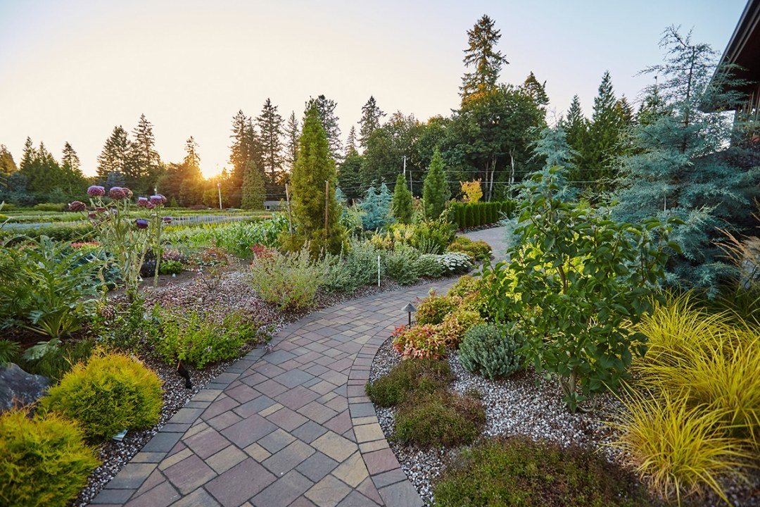 Dennis7Dees-Dream-Home_121 landscape plants along path