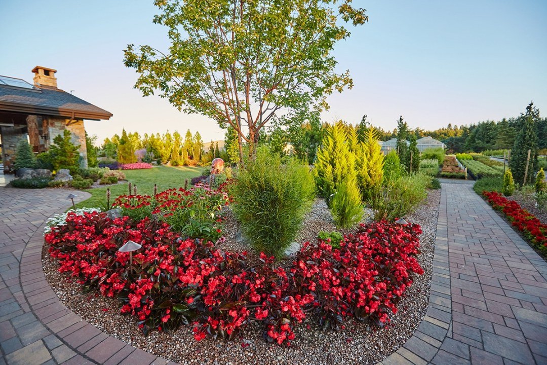 Dennis7Dees-Dream-Home_123 landscape plants