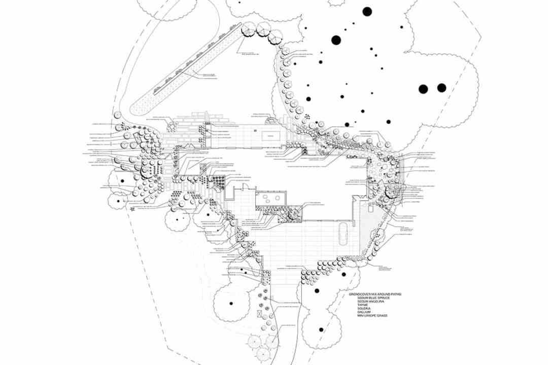 Modern woodland landscape plan - 7 Dees Landscaping Aerial landscape plan with infinity lawn, poured concrete path, and plantings - 7 Dees Landscaping