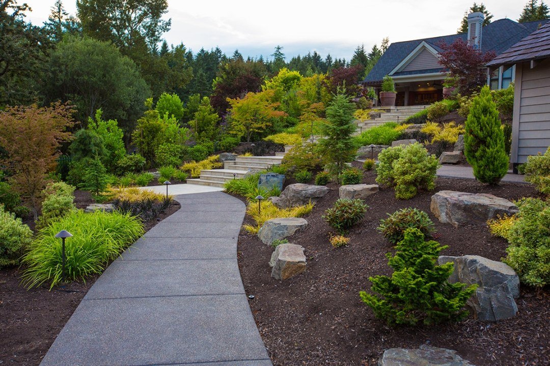 beautiful backyard path with plants by Dennis' 7 Dees beautiful backyard path with plants by Dennis' 7 Dees