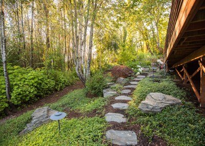 stepping stone path in landscape