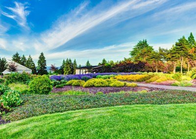 residential landscaping home view