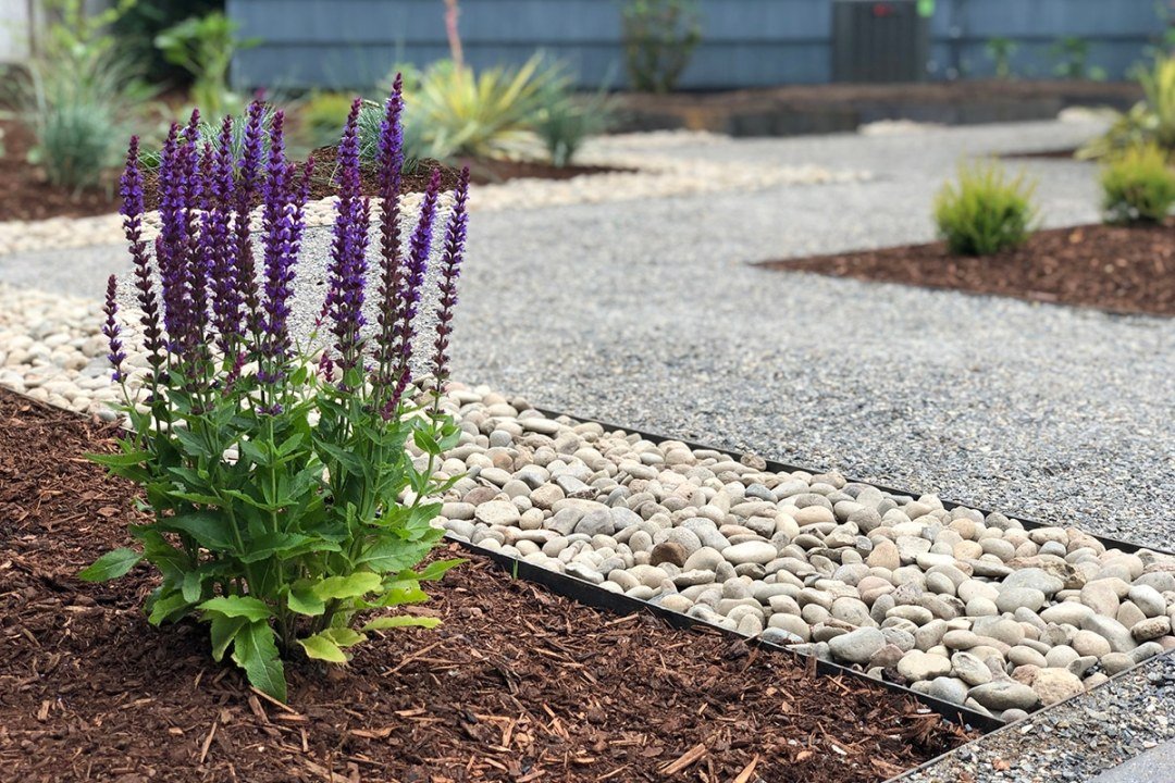 mulch stone gravel walkway with plants mulch stone gravel walkway with plants