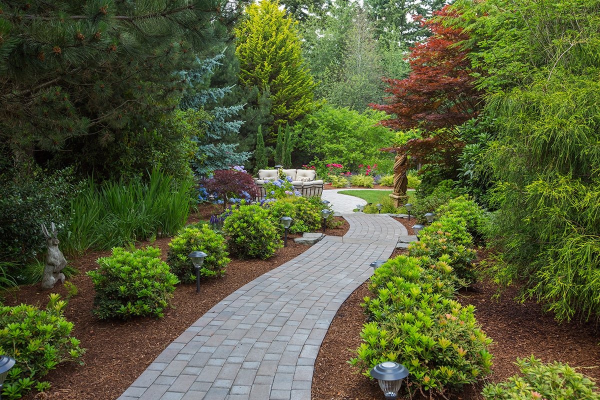 paved pathway surrounded by plants