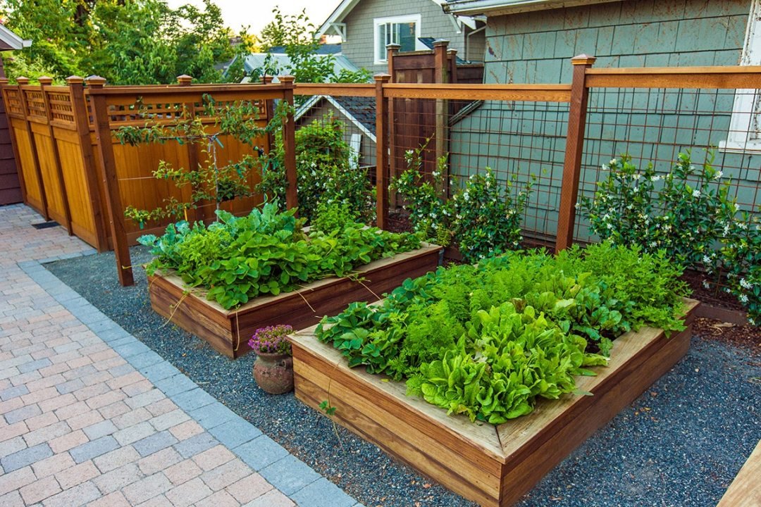 Raised garden beds and container plantings - by Dennis' 7 Dees Raised garden beds with plants and climbing vines - by Dennis' 7 Dees
