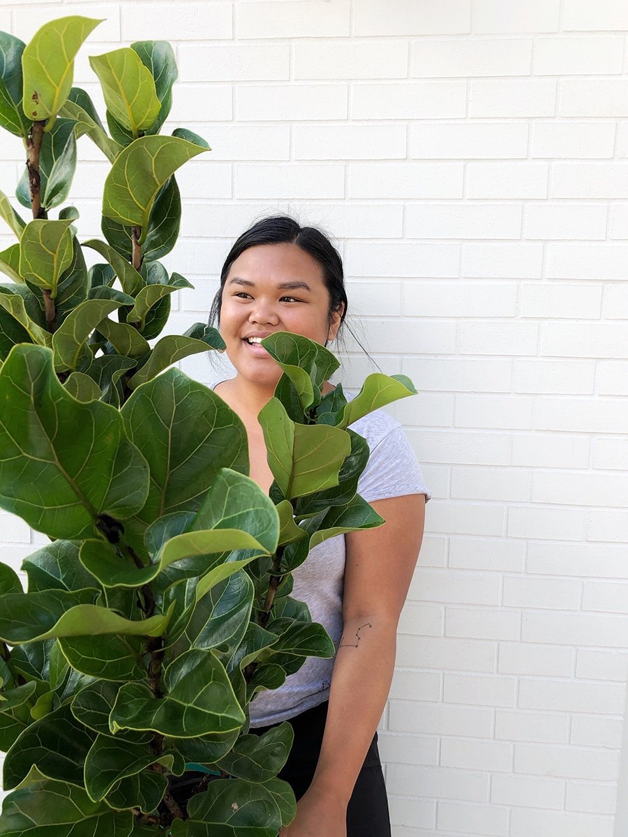 Kalei-with-ficus-lyrata holding ficus lyrata