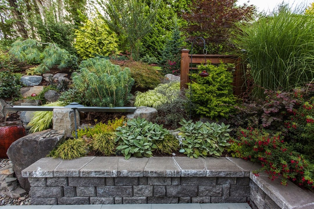 Dense plantings on a slope - by Dennis' 7 Dees Lush green plantings on a slope with a retaining wall Round patio with firepit and retaining wall Jasmine vine growing vertically on a trellis - by Dennis' 7 Dees