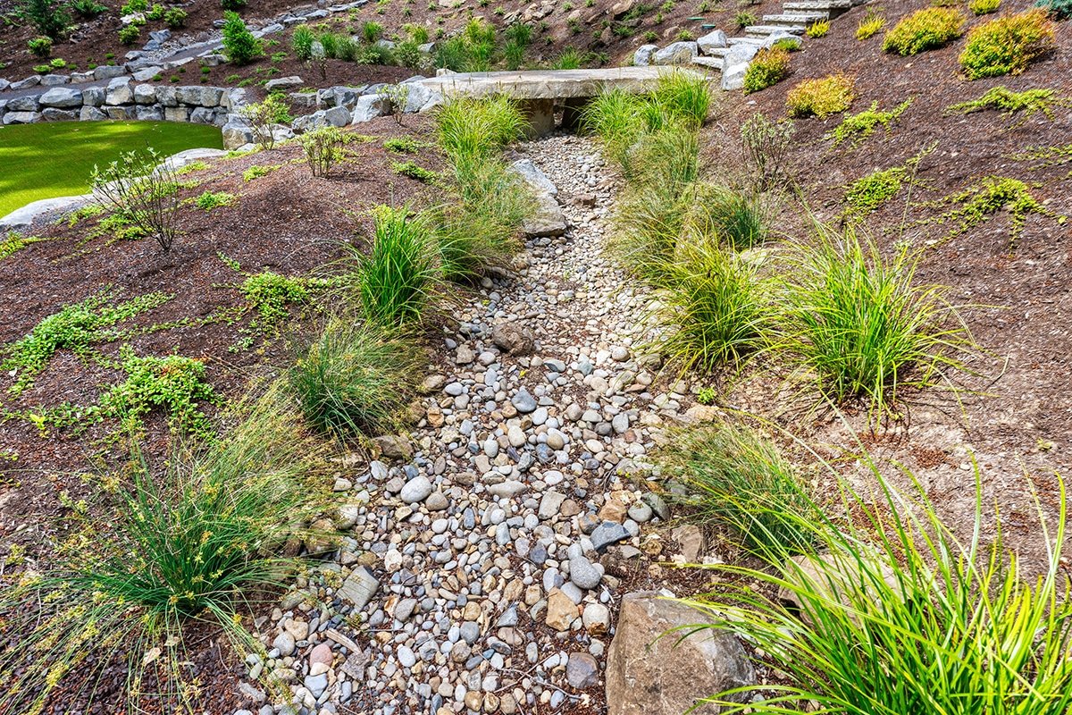 dry creek bed and bridge by Dennis' 7 Dees
