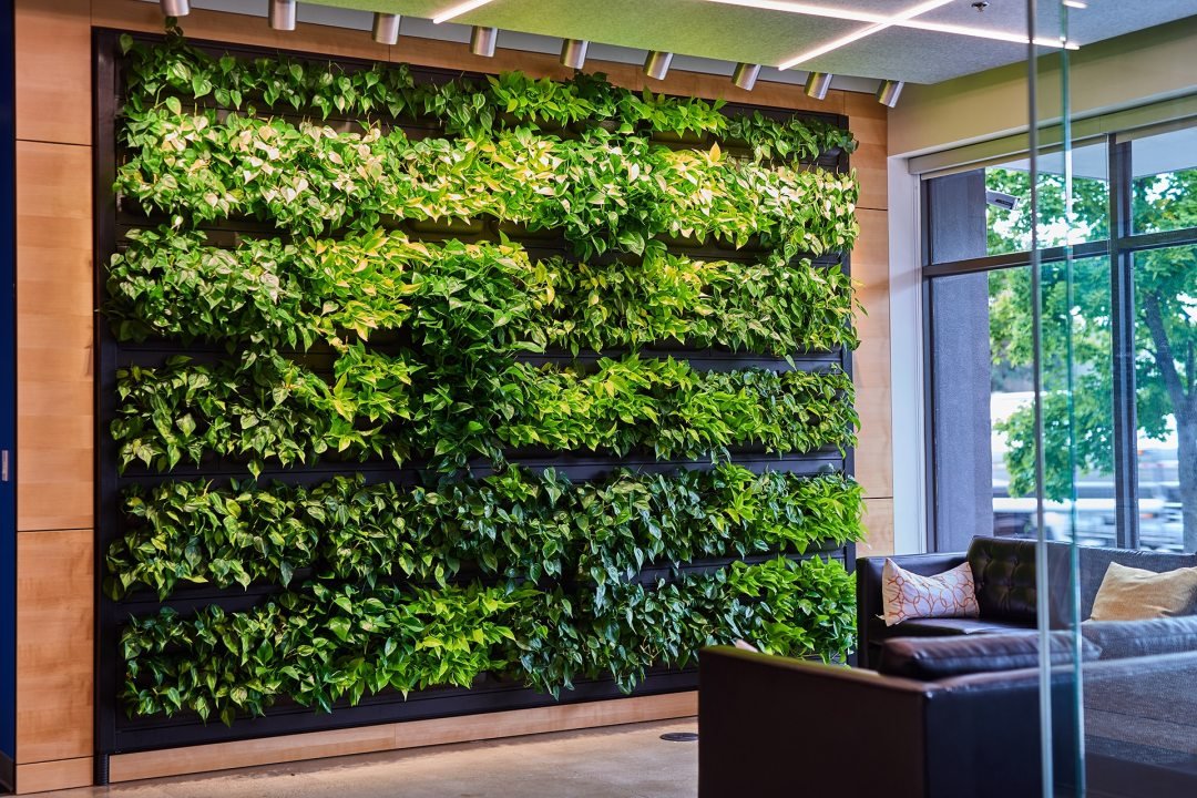 Living wall in Entryway of Office created by Urban Plantscapes of 7 Dees Lush green living wall in a lobby, designed by Urban Plantscapes of 7 Dees