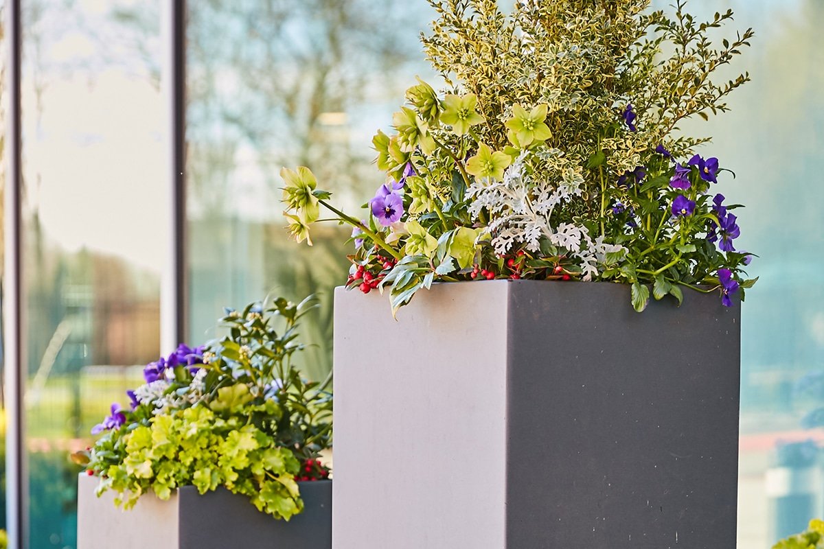 Urban Plantscapes Exterior Container Plants