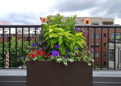 Urban Plantscapes Exterior Container Plants