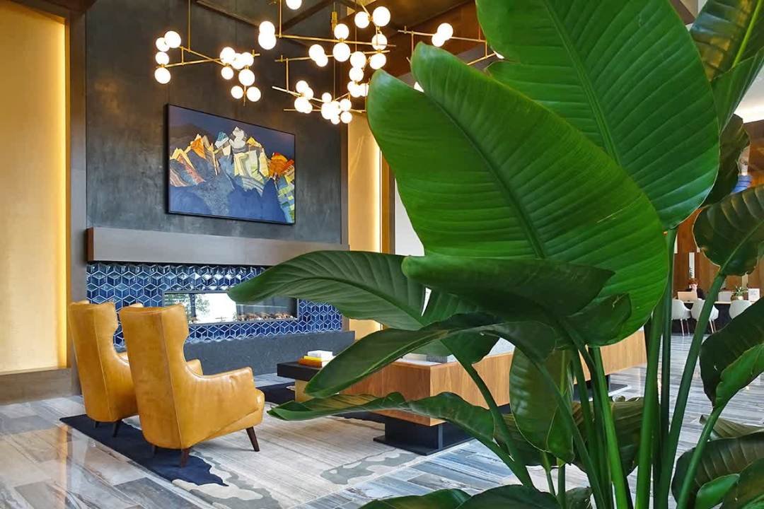 Hospitality Plants tropical plants in foyer lobby by Dennis' 7 Dees of Urban Plantscapes