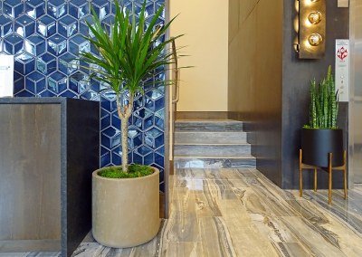 Urban Plantscapes Hospitality Plants