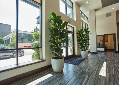 Urban Plantscapes Hospitality Plants