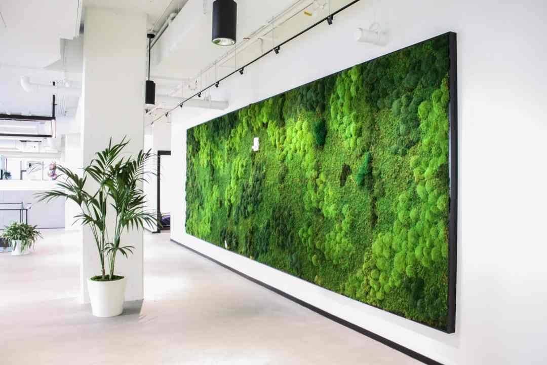 Large custom moss art wall piece in a Portland Office with a potted palm by Urban Plantscapes of Dennis' 7 Dees Extra large custom moss art wall piece at an angle with potted palm nearby