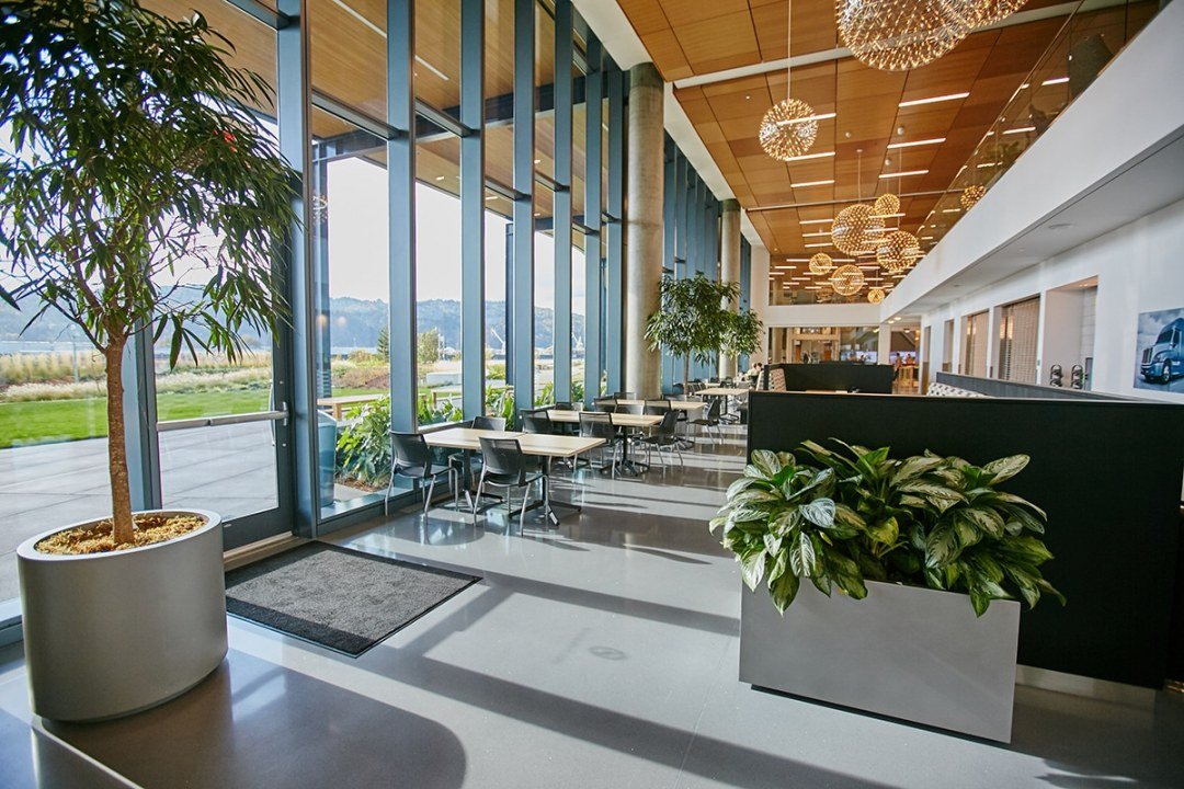 Plants in pots in biophilic corporate communal space, by Urban Plantscapes of 7 Dees Plants with communal seating in open commercial office space by Urban Plantscapes
