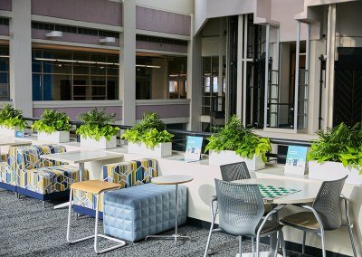 Urban Plantscapes Office Plants