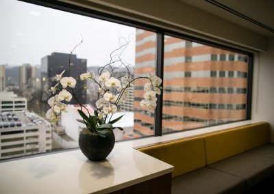 Urban Plantscapes Office Plants