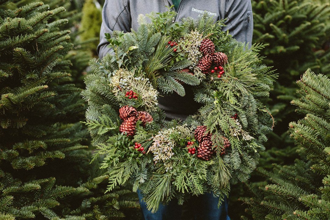 Person holiding a natural-looking green wreath with pinecones - 7 Dees Garden Centers