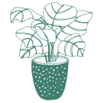 Calathea Care