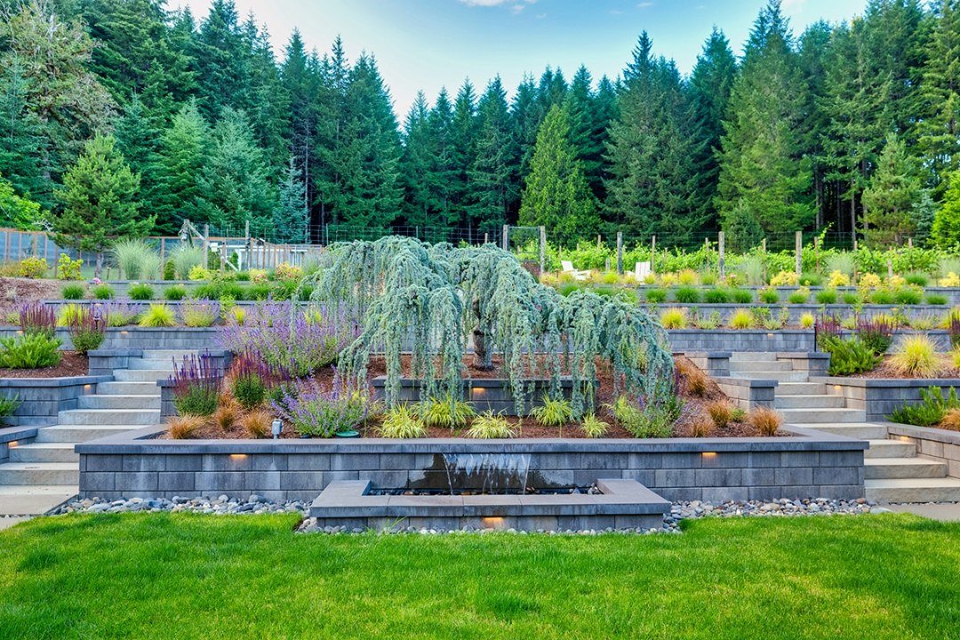 dennis7dees-opulent-oasis-landscape-1
