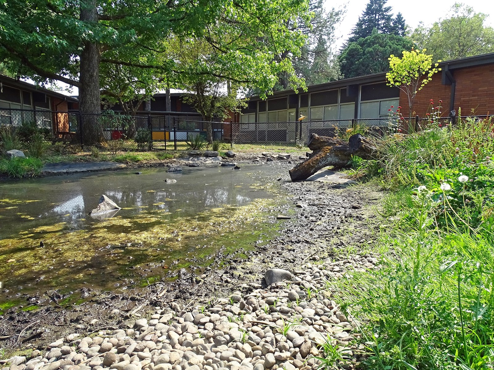 Lewelling Elementary landscaping project after photo