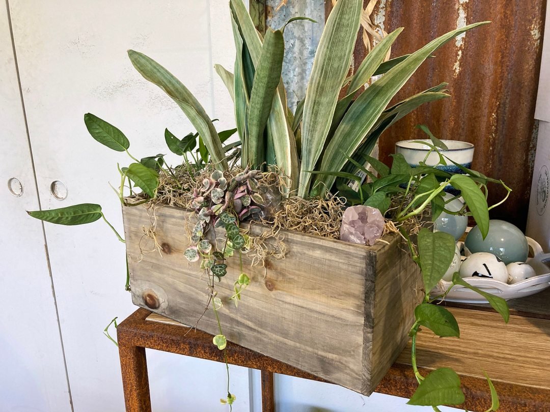 living-arrangements-with-houseplants-11_edit houseplant arrangement for home decor