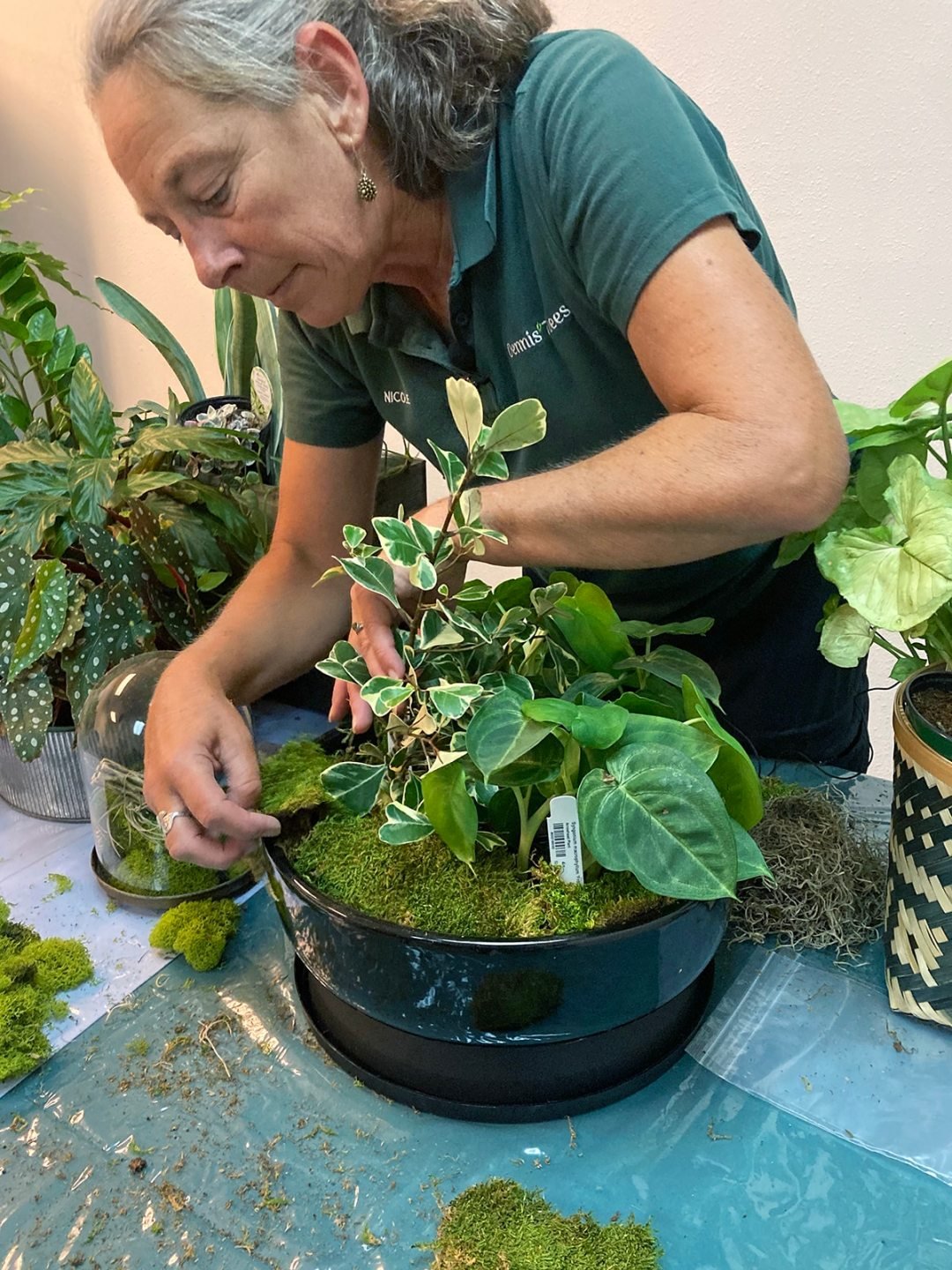 living-arrangements-with-houseplants-1_edit