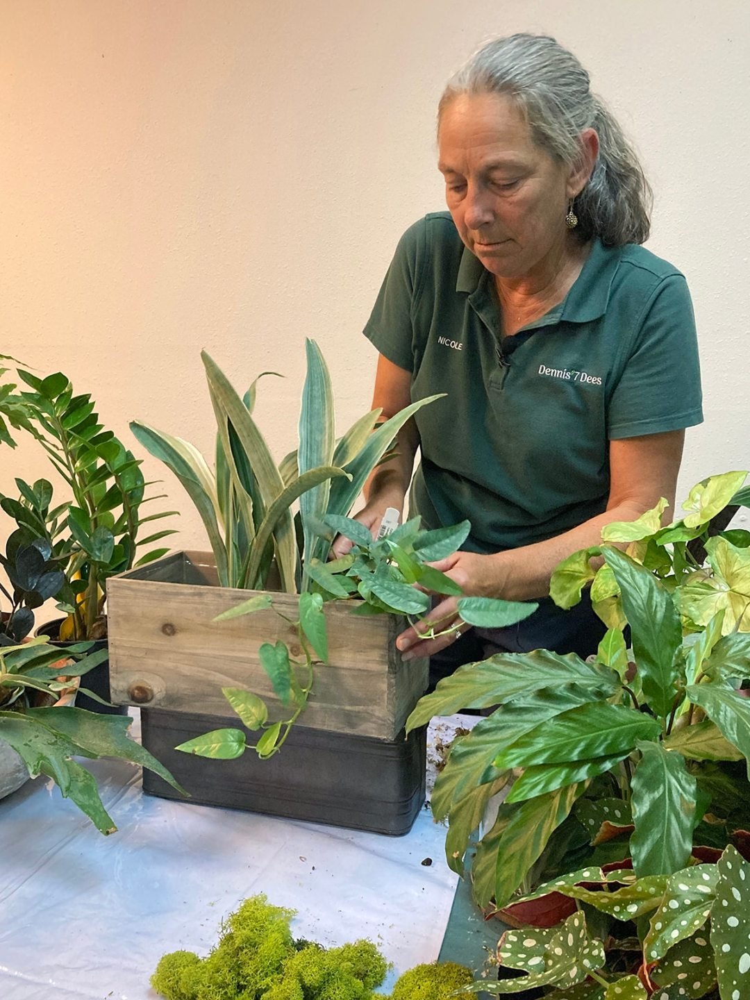 living-arrangements-with-houseplants-6_edit