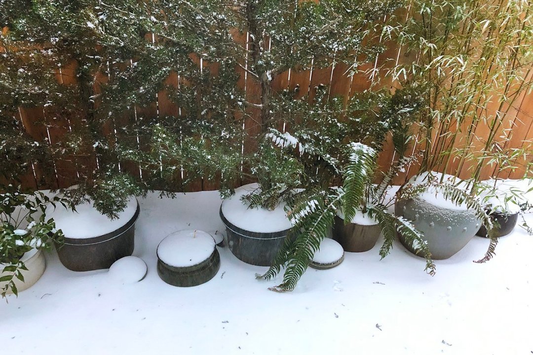plant-pots-grouped-together-in-snow