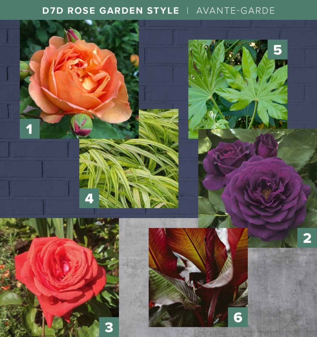 D7D Rose Garden Mood Boards 2023 - Avante-Garde
