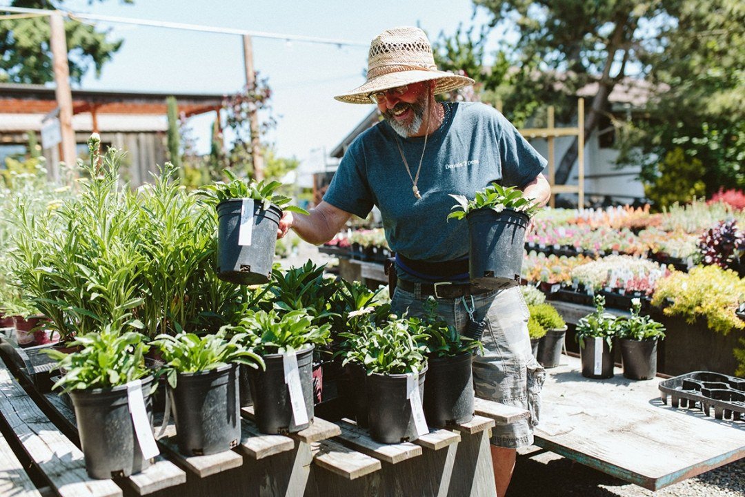 Rob with potted plants at the 7 Dees Vancouver Garden Center Man holds two potted plants at the 7 Dees Vancouver Garden Center