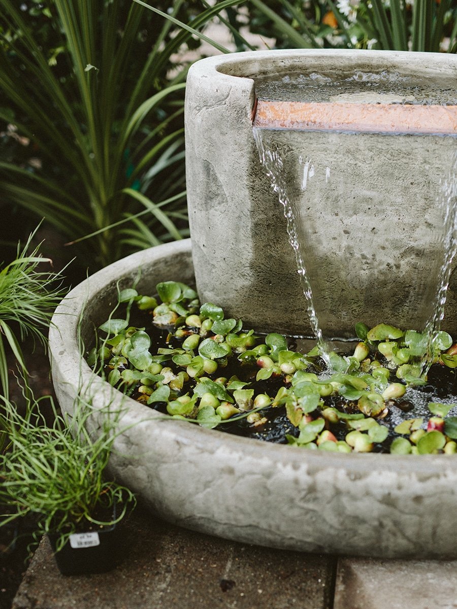 dennis7dees-water-garden-floating-plants-fountain