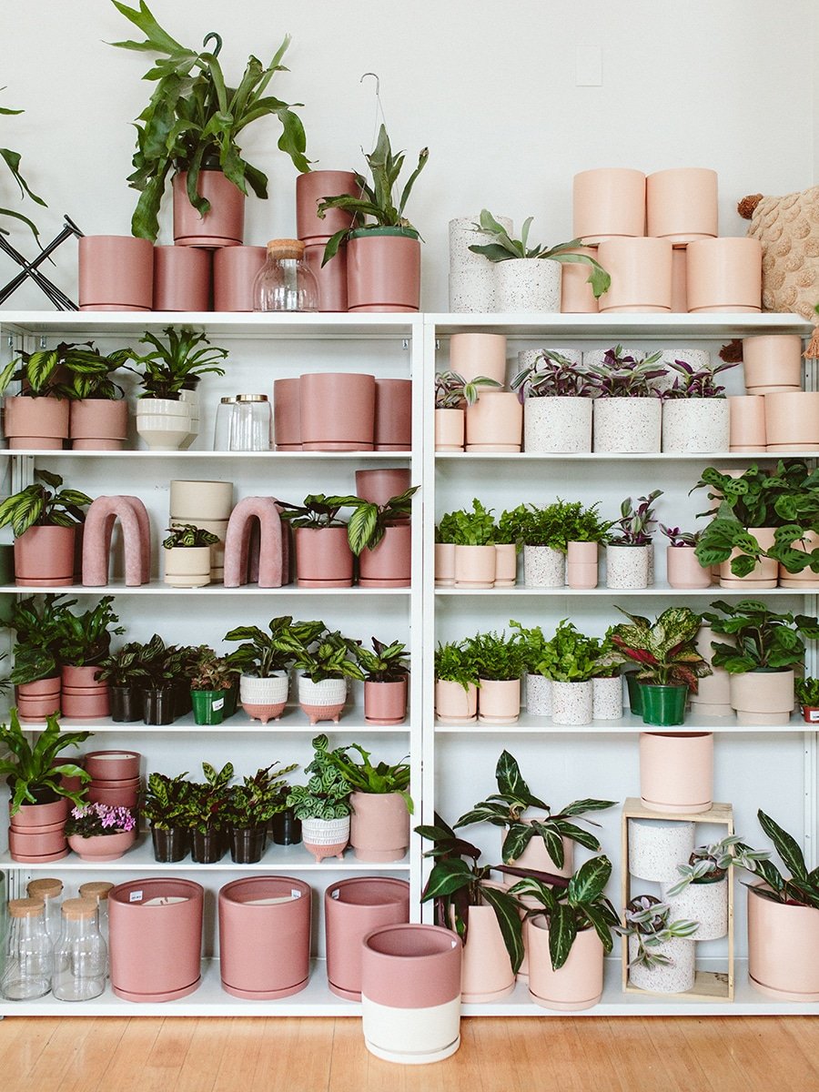 Pink Pots and Accessories