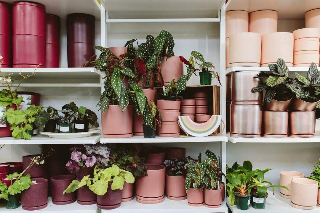 Pink Pots and Accessories