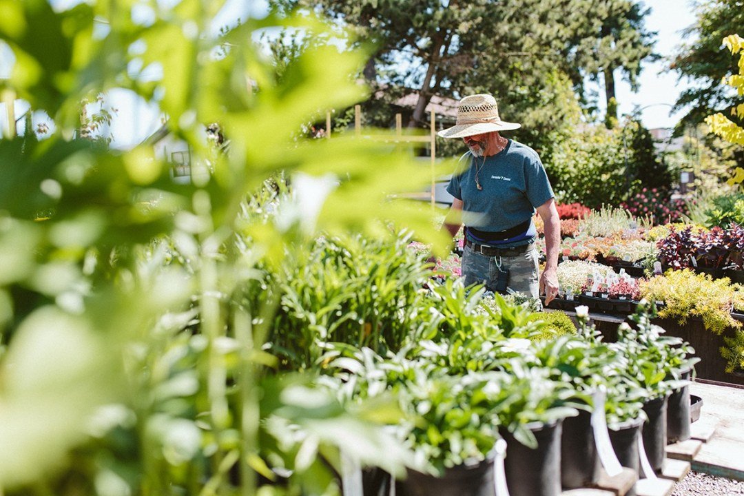 Summer Season at Dennis' 7 Dees Garden Center